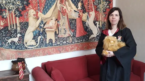 Un appartement Harry Potter au Mans en location sur Airbnb